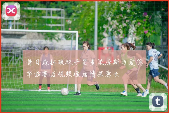 昔日森林狼双子星重聚唐斯与爱德华兹赛后视频通话情深意长