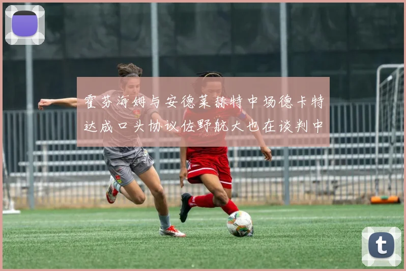 霍芬海姆与安德莱赫特中场德卡特达成口头协议佐野航大也在谈判中